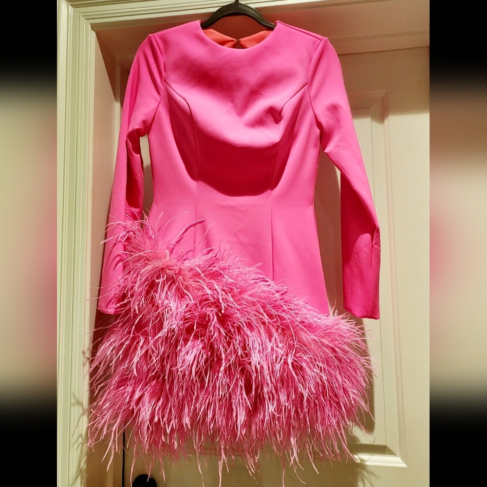 Elegant Pink Feathered Mini Dress